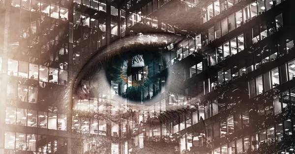Les techniques du cyber-renseignement  : Qu'est-ce que l'Open Source Intelligence  (OSINT) ?