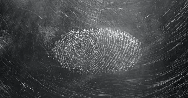 Un futur sans cookies tiers : le tracking sous toutes ses formes